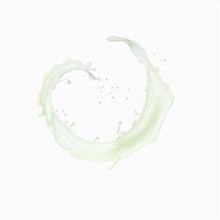 Load image into Gallery viewer, PÂTE GRISE MATTIFYING BI-PHASE POWDER LOTION