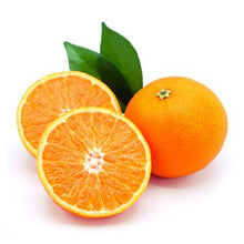 Load image into Gallery viewer, ULTIMATE CONCEALER (Deep)